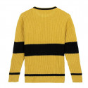 Unisex Jumper Harry Potter Yellow (S)