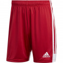 Adidas Tastigo 19 Shorts M DP3681 shorts (S)