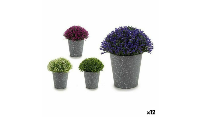 Decorative Plant Ibergarden A18124-91 A18124-91 Plastic 14 x 15 x 14 cm 14 x 16 x 14 cm (12 Units)
