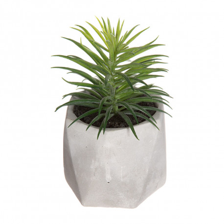 Decorative Plant Atmosphera 7 x 14 cm Green PVC