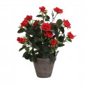 Dekoratiivne Taim Mica Decorations Rosal Keraamiline PVC