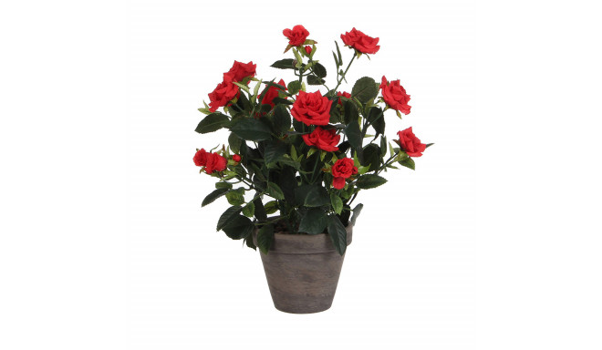Dekoratiivne Taim Mica Decorations Rosal Keraamiline PVC