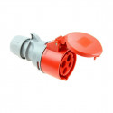 Plug-in base Solera 903142a CETAC Kaanega Punane IP44 16 A 400 V Antenn
