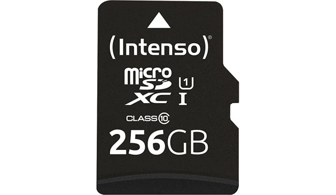 Intenso UHS-I Performance 256 GB microSDXC, memory card (black, UHS-I U1, Class 10)