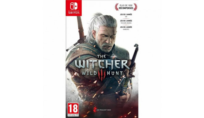 Video game for Switch Bandai The Witcher 3: Wild Hunt