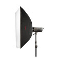 Godox  SKII400 Studio Flash Kit 400 E