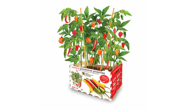 Cultivation Set Batlle Peppers Spicy 30 x 19,5 x 16,2 cm