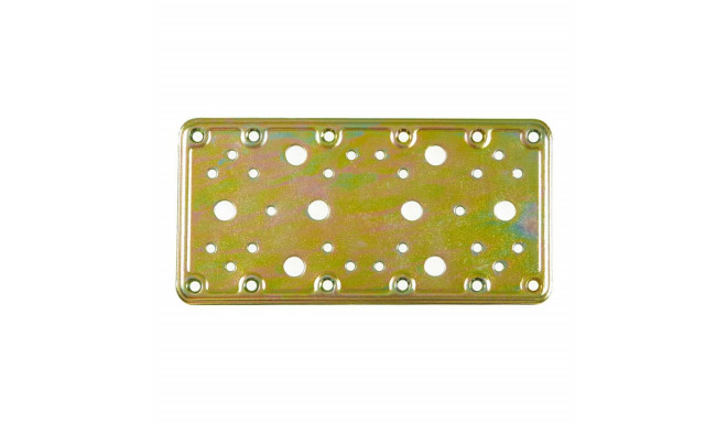 Kinnitusplaat AMIG 503-12124 Töödeldud bikromaadiga Kuldne Teras (200 x 100 mm)