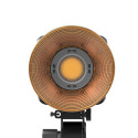 SmallRig 3976 RC450B Bi Color