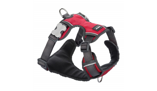Dog Harness Red Dingo Padded Red XS size