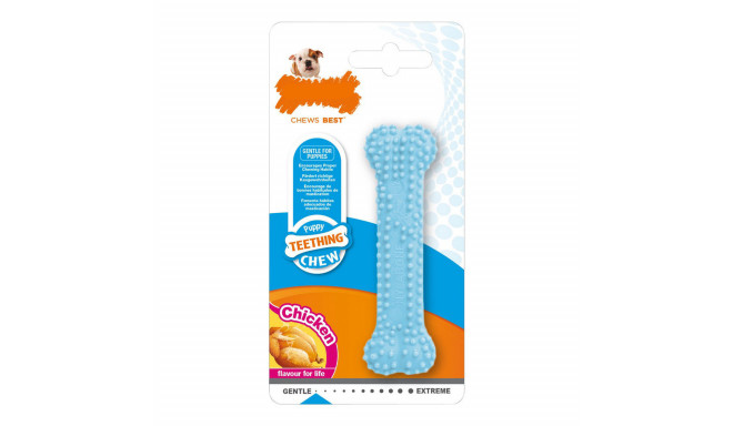 Dog chewing toy Nylabone Blue Chicken Thermoplastic XS size Puppies