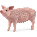 Schleich mängufiguur Farm World Pig (13933)