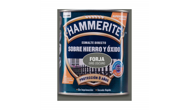 Lakk AkzoNobel 5093211 750 ml Viimistluslakk Tumehall Matt