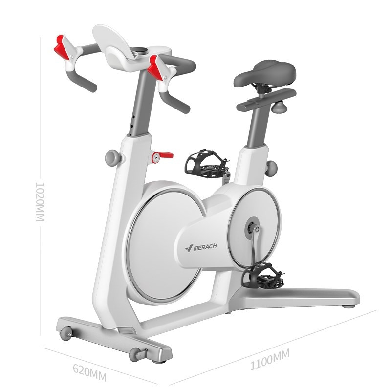 Merach SWAN spinning bike, Bluetooth, white Exercise bikes Photopoint