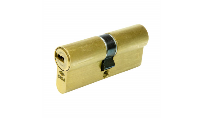 Cylinder Cisa Asix 1.0e300.29.0.0000.c5 45 x 45 mm Brass