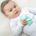 NATTOU Cooling teether green