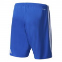 Adidas Tastigo 17 M BJ9131 football shorts (M)