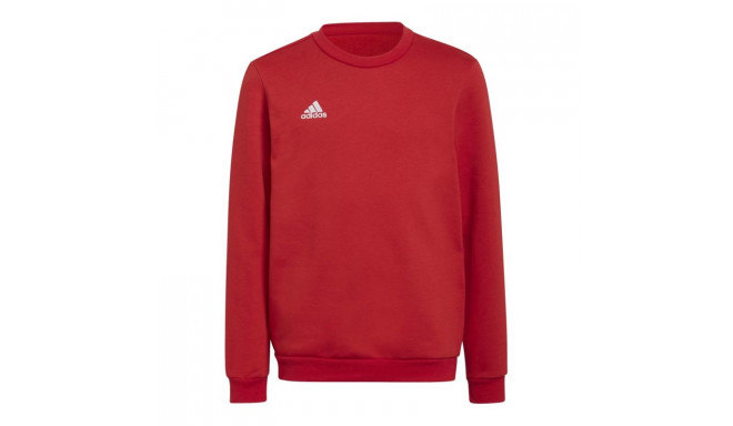 Adidas Entrada 22 Sweat Jr sweatshirt H57473 (140)