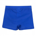 Boys Swim Shorts Mickey Mouse Blue (4 Years)