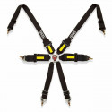 Harness with 6 fastening points Fia Racing OCC Motorsport (Blue)