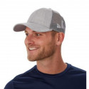 Bauer New Era cap 39Thirty Team Sr 1057023, grey