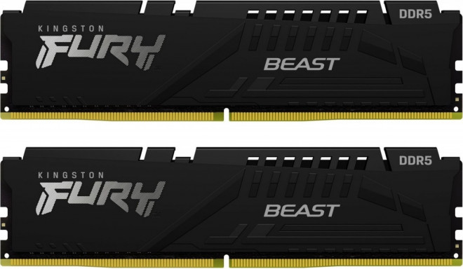 DDR5 Fury Beast Black 64GB(232GB)/5600 CL36