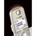 Panasonic KX-TGE262GN champagne