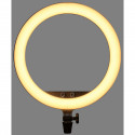 Godox ring light LED LR150B