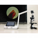 Elmo Mikroscope Adapter for MA-1/MO-2