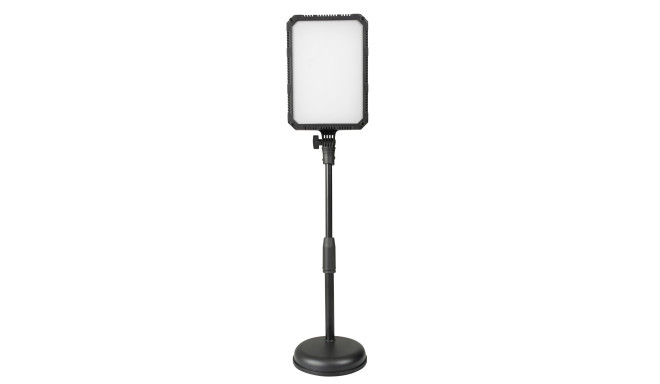 Kaiser PL24 Vario LED Desktop Lamp