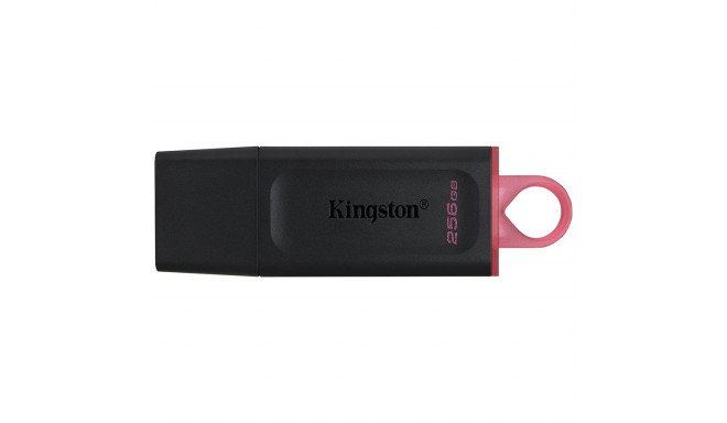 Kingston 256GB USB3.2 Gen1 DataTraveler Exodia (Black + Pink)