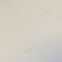 DNP Standard Paper DSRX1HS-4X6HS 2 Rolls 700 Prints 10x15 for DS-RX1HS