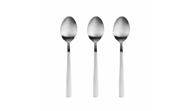 Set of Spoons San Ignacio Root SG7772 Matt Stainless steel 3 Units