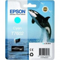 Epson Ink Cyan C13T76024010