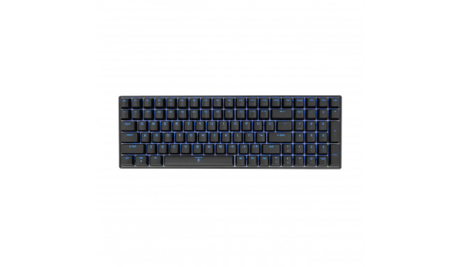 White Shark ESL-K2 Premium Line  Katana US