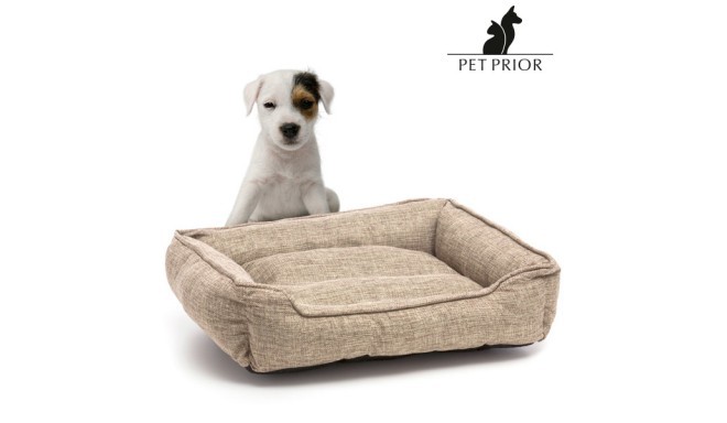 Gold Pet Prior Dog Bed (48 x 42 cm)