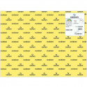 Cards Iris Lemon Yellow 50 x 65 cm (25 Units)