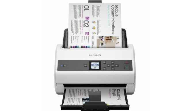 Scanner Epson B11B250401