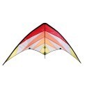 Delta Wing Stunt Kite