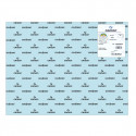 Card Iris Sky blue 50 x 65 cm (25 Units)