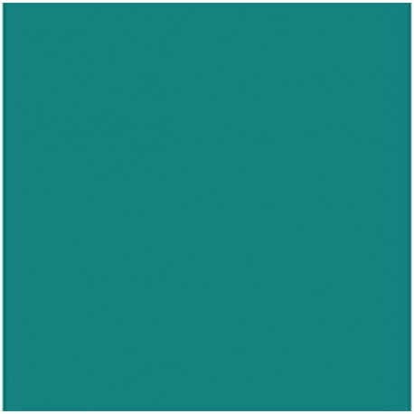 Card Iris Mint 50 x 65 cm
