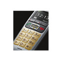 Gigaset E560HX Analog/DECT telephone Caller ID Grey, Silver