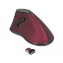 DeLOCK 12528 mouse Right-hand RF Wireless Optical 1000 DPI DeLOCK 12528 mouse Right-hand RF Wireless Optical 1000 DPI