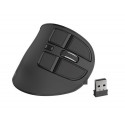 NATEC Euphonie mouse Right-hand Bluetooth Optical 2400 DPI