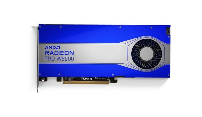 AMD videokaart Radeon PRO W6000 Radeon PRO W6600 8GB GDDR6
