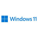 Microsoft Windows 11 Pro OEM