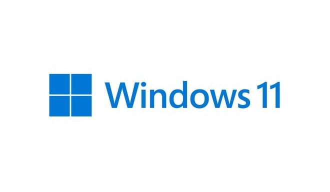 Microsoft Windows 11 Pro 1 license(s)