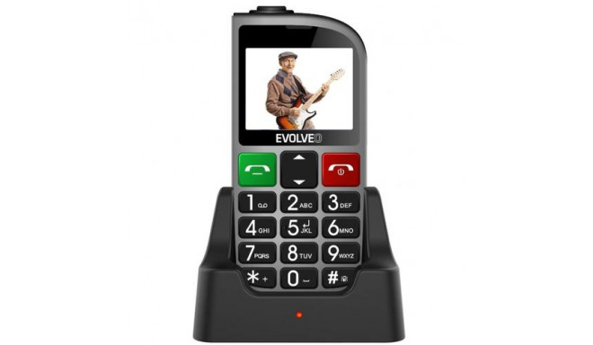 Evolveo EasyPhone FM 5.84 cm (2.3&quot;) 105 g Silver Senior phone