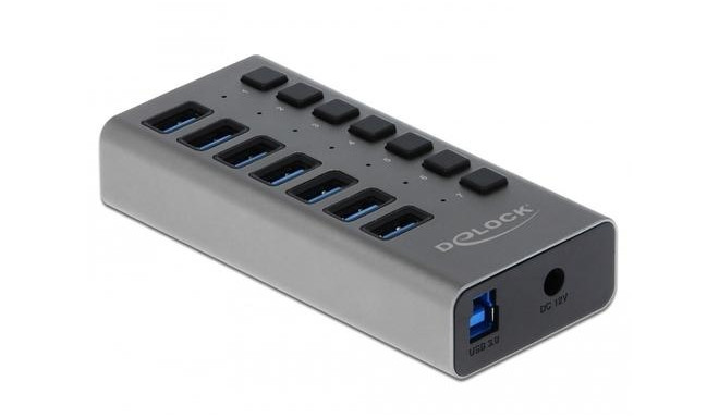 DeLOCK External USB 5 Gbps Hub with 7 Ports + Switch