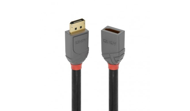 Lindy 3m DisplayPort 1.4 Extension Cable, Anthra Line